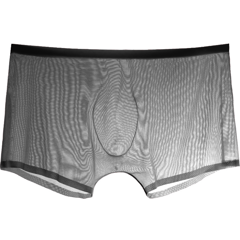 Trunk Breathable Men - 男性ボクサー男性ブリーフ薄手の下着ホットマンチュールビキニ通気性弱虫メッシュトランクスシースルーパンツ薄型ランジェリー