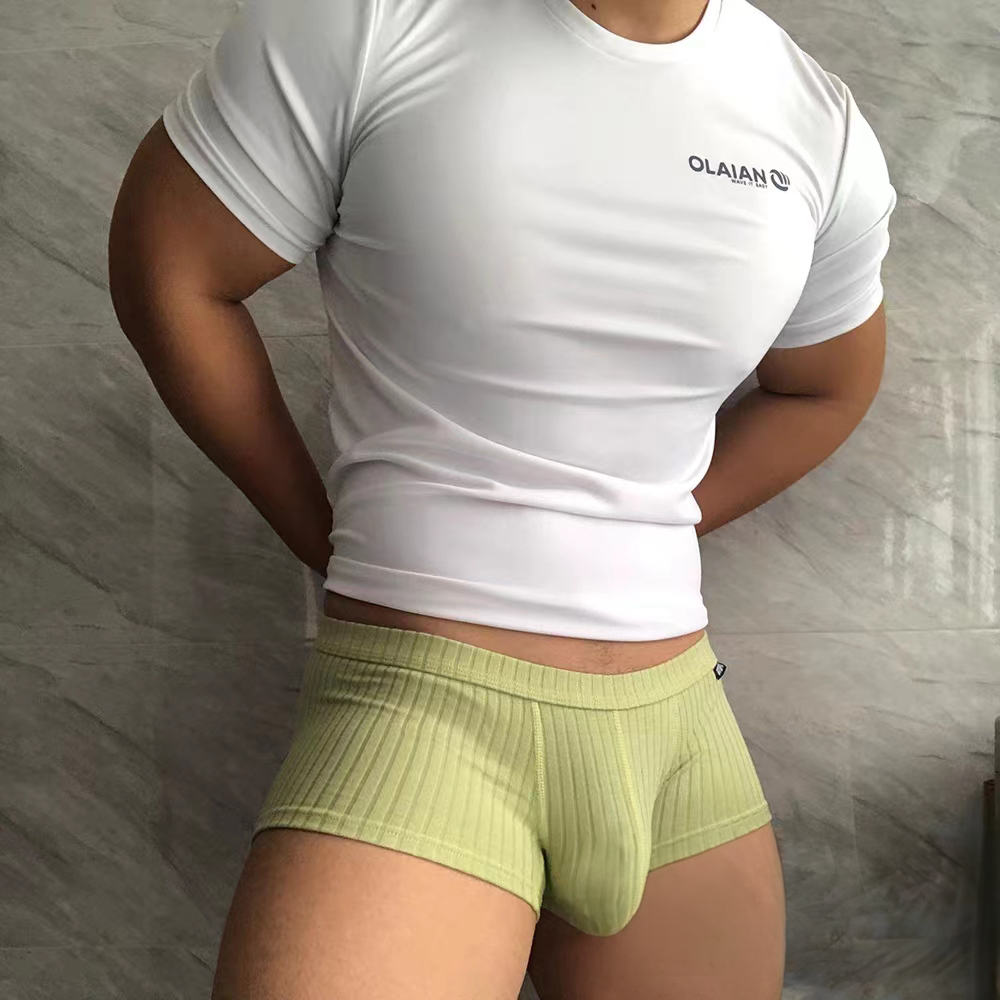 男性用コットンショートボクサーブリーフローウエストUレイズド - Boxer Brief Pack Cotton のレビューと価格