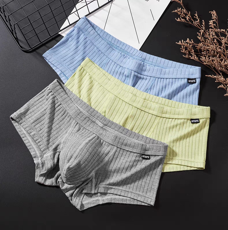 男性用コットンショートボクサーブリーフローウエストUレイズド - Boxer Brief Pack Cotton のレビューと価格